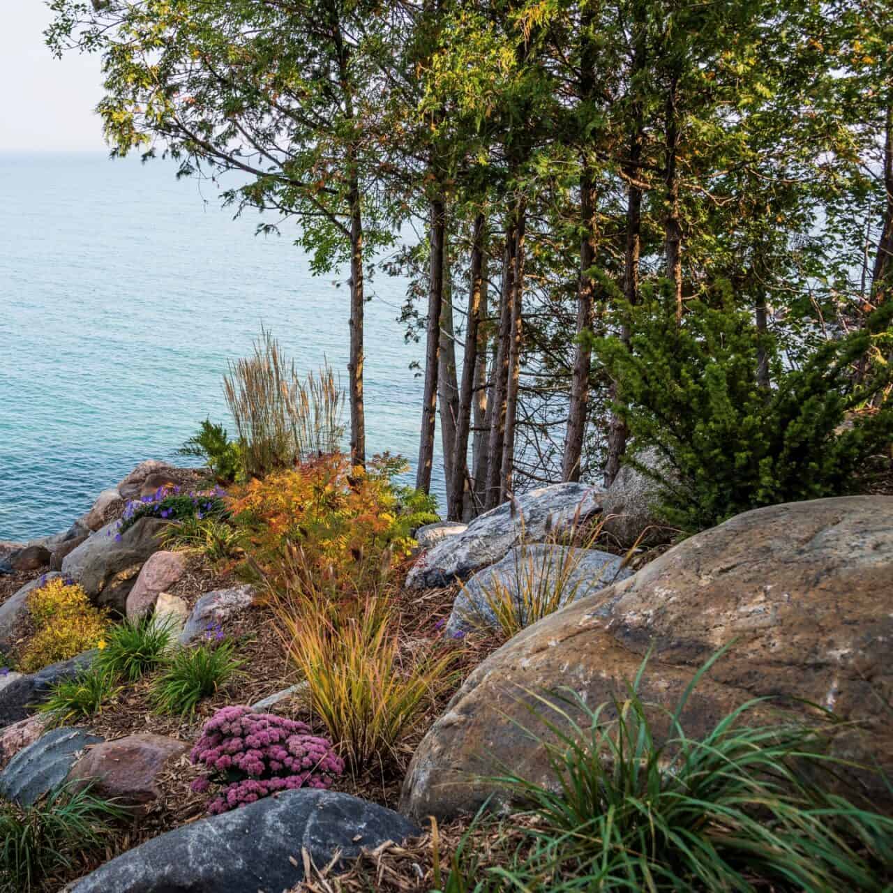 Native flowers and shrubs help restore a diverse natural shoreline.